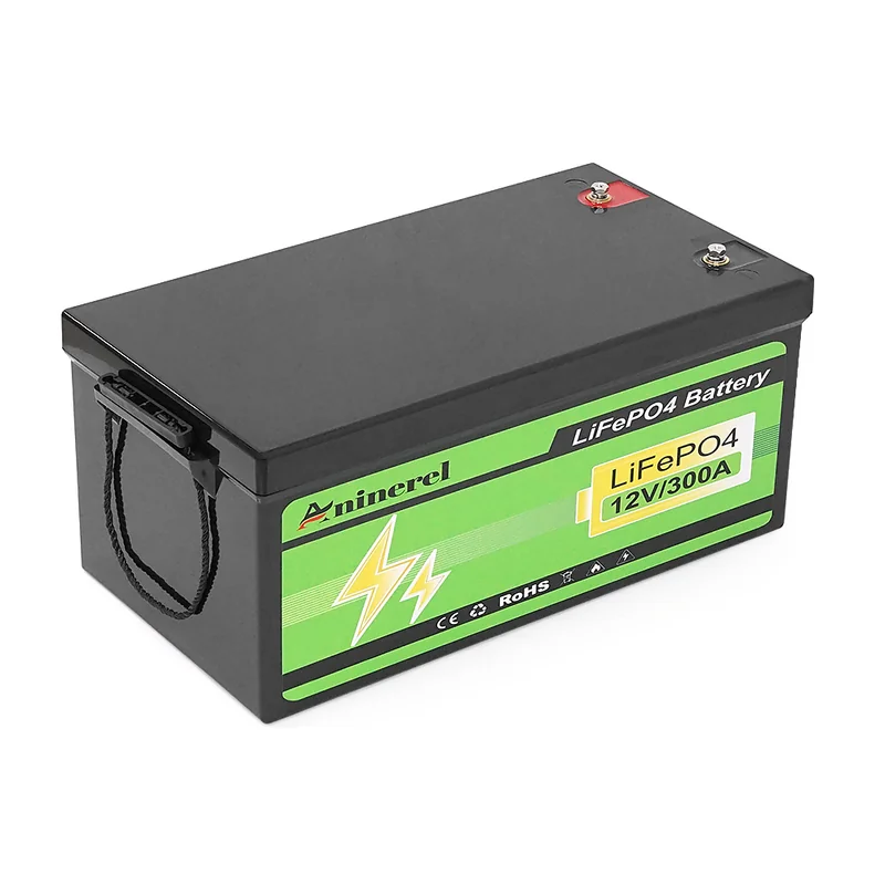 Літієвий акумулятор ANENJI ANJ-12V-300AH-PX / 12 В / 300 А⋅год / LiFePO4